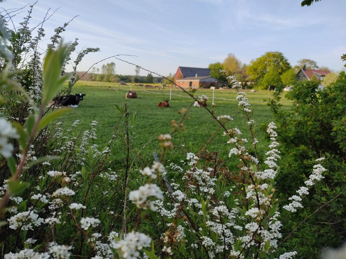 Cosyplace; Close To Beach, Nature, Train, Grocery Kopingebro Zewnętrze zdjęcie
